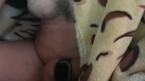 Snapshot of o0okukito0o chatting on January 17, 2025, 9:06 am o0okukito0o online show from January 17, 2025, 9:06 am