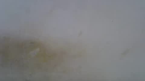 Snapshot of oceanwavves chatting on May 1, 2026, 6:23 pm Paloma online show from May 1, 2026, 6:23 pm