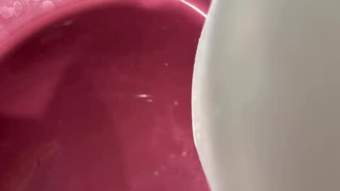 oconner701 online show from November 6, 2025, 5:30 am