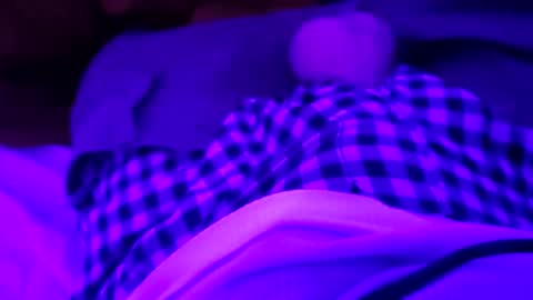 octorok1 online show from December 31, 2024, 3:01 am