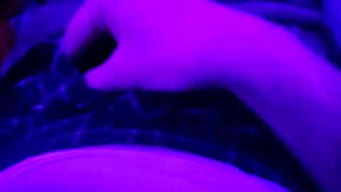 octorok1 online show from January 1, 2025, 2:30 am