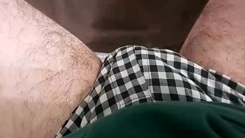 octorok1 online show from November 17, 2025, 6:41 am