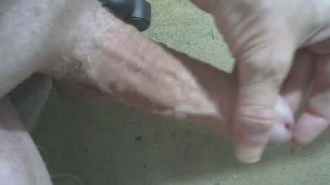 odentonman4fun online show from June 20, 2026, 4:04 am
