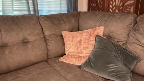 Tams online show from September 9, 2025, 3:11 pm