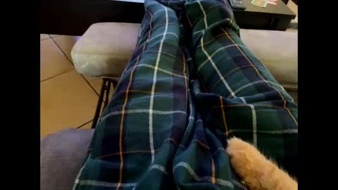 oggs48 online show from October 28, 2025, 12:09 pm