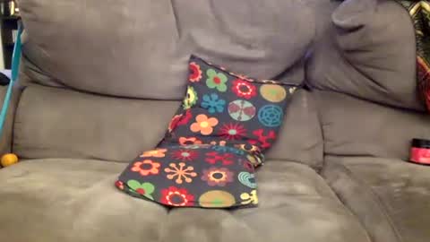 oggs48 online show from November 15, 2025, 12:45 pm