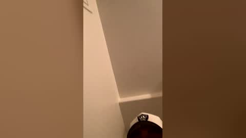 ognemomonies online show from February 19, 2026, 10:33 am