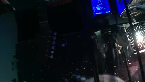 Snapshot of oheyhun chatting on November 8, 2025, 10:48 am oheyhun online show from November 8, 2025, 10:48 am