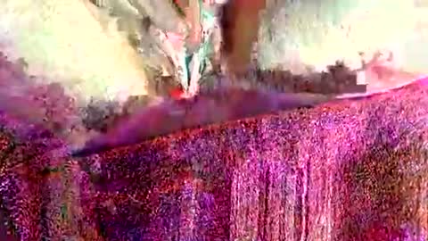 ohlalamama13 online show from March 17, 2026, 9:51 pm