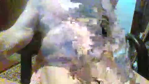 William online show from December 14, 2025, 9:19 pm