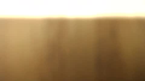 okoro1212 online show from November 28, 2025, 1:08 am