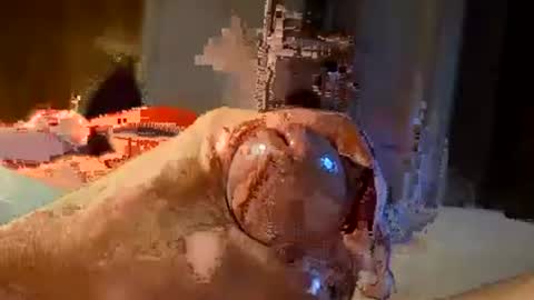 oldermtl online show from July 11, 2026, 12:13 am