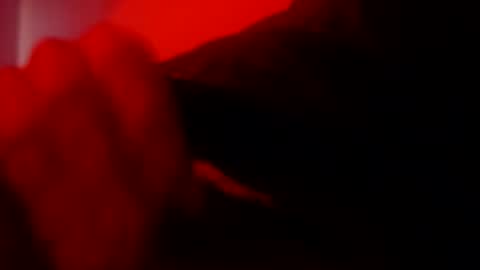 oliveoil67 online show from February 8, 2026, 4:32 pm