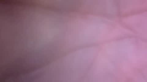 Big Dino Dick online show from April 12, 2026, 12:59 am