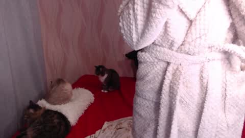 Olivia online show from December 31, 2024, 12:32 am