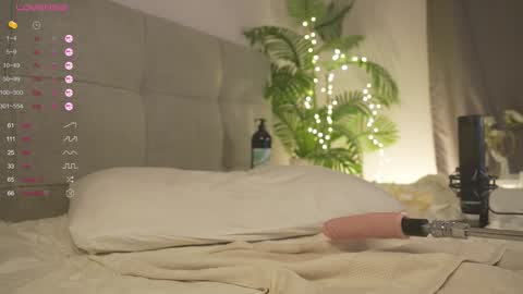 Lily dont forget to follow me  good to see you all online show from February 4, 2025, 7:00 pm