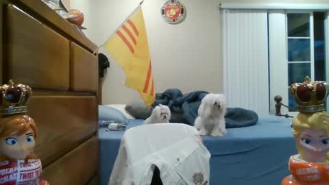 oorah1775 online show from March 2, 2025, 2:10 pm