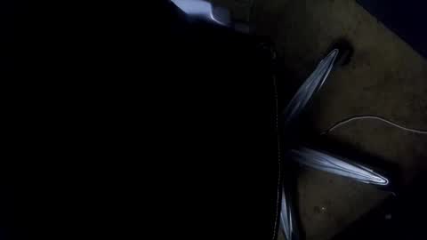 orgasmgiver9090 online show from November 7, 2025, 7:36 pm