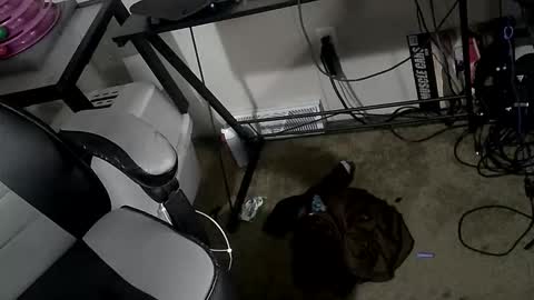 Snapshot of orgasmgiver9090 chatting on March 20, 2026, 7:52 pm orgasmgiver9090 online show from March 20, 2026, 7:52 pm