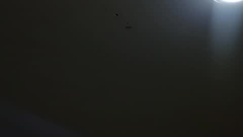 Snapshot of oriana_111 chatting on May 4, 2026, 11:28 am oriana_111 online show from May 4, 2026, 11:28 am