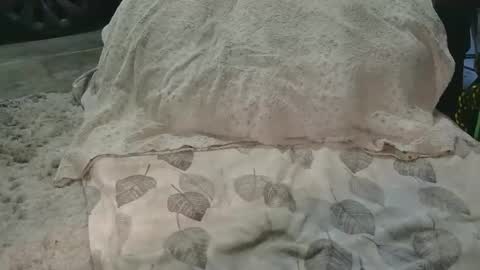 Snapshot of originalcali95 chatting on March 15, 2026, 12:38 am originalcali95 online show from March 15, 2026, 12:38 am