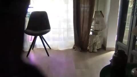 orn74 online show from March 17, 2026, 11:35 am