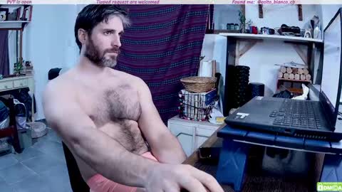 Osito Blanco online show from May 8, 2026, 11:43 pm