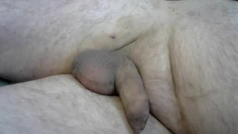 ovid77 online show from October 16, 2025, 10:05 am