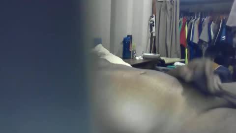 ozchaad online show from January 13, 2026, 1:05 pm