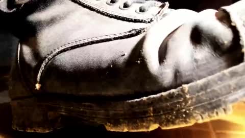 Pablo Meness online show from January 31, 2026, 8:29 pm