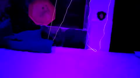 pablouyu online show from December 22, 2024, 5:56 am