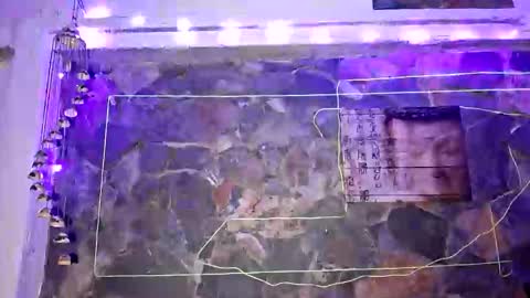 pablouyu online show from January 1, 2025, 4:18 am