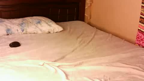 Pacie online show from November 22, 2025, 12:15 pm