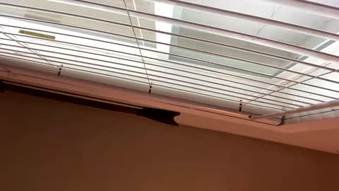 packinnstackin1996 online show from January 6, 2026, 5:05 pm