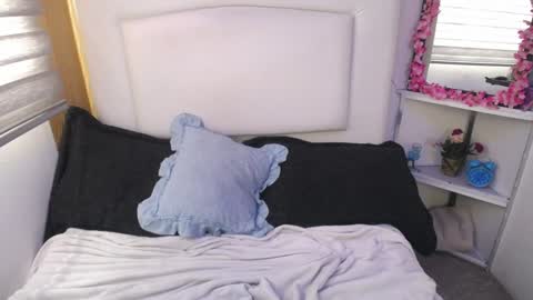 Palmer online show from December 28, 2024, 4:20 pm