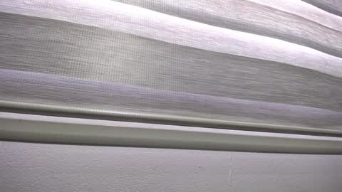 Palmer online show from January 13, 2025, 12:24 pm