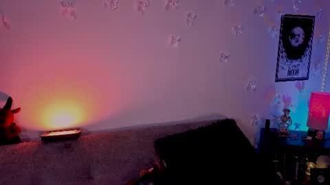 pamela online show from July 1, 2026, 3:41 am