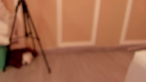 pamelamendez_1 online show from February 27, 2026, 4:56 am