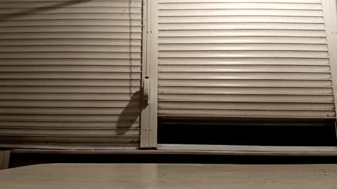 angel hris online show from December 3, 2025, 5:11 pm