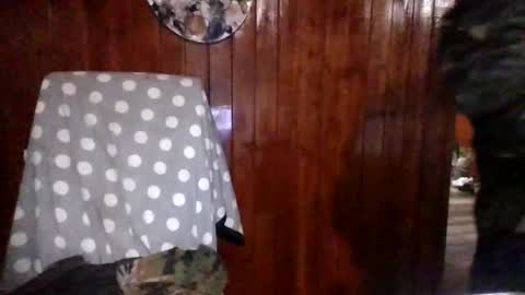 Snapshot of panditernurita12 chatting on March 14, 2026, 3:23 am panditernurita12 online show from March 14, 2026, 3:23 am