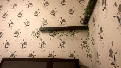 Snapshot of pantease_ chatting on October 24, 2025, 9:22 pm Kate online show from October 24, 2025, 9:22 pm