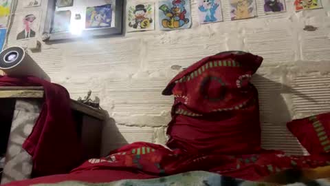 panthers_room online show from January 28, 2025, 11:17 am