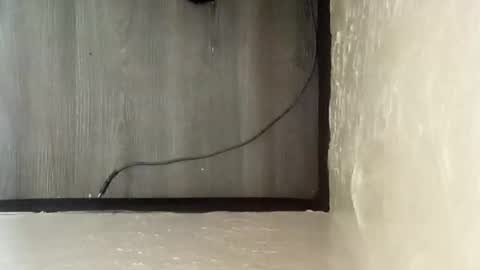 pantieplaytime52532 online show from December 25, 2024, 5:16 am