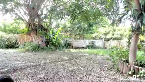 Snapshot of paoguerrax354 chatting on October 19, 2025, 6:41 pm paoguerrax354 online show from October 19, 2025, 6:41 pm