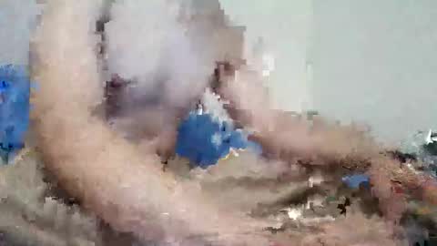 Snapshot of parejitafiel2309 chatting on November 9, 2025, 8:18 pm parejitafiel2309 online show from November 9, 2025, 8:18 pm