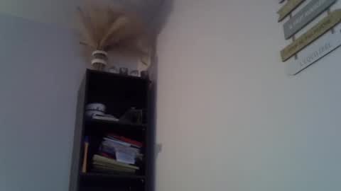 Snapshot of patrick5275 chatting on February 23, 2025, 7:00 am patrick5275 online show from February 23, 2025, 7:00 am
