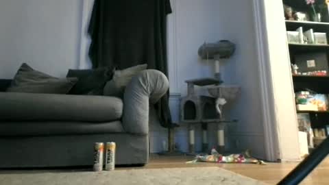 Snapshot of paul9333 chatting on April 12, 2026, 7:46 am shy online show from April 12, 2026, 7:46 am