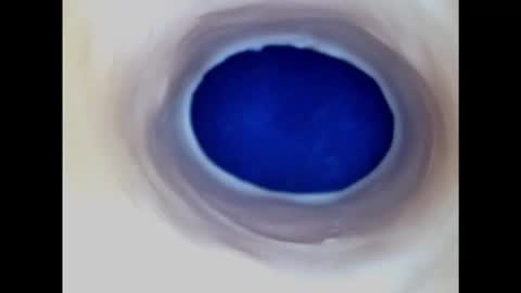 Paula 18 Aninhos online show from February 20, 2025, 3:01 am