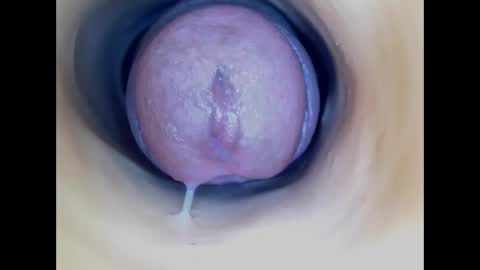 Paula 18 Aninhos online show from April 26, 2026, 4:04 pm