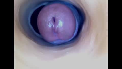 Snapshot of paulainoscente chatting on May 9, 2026, 12:05 am Paula 18 Aninhos online show from May 9, 2026, 12:05 am